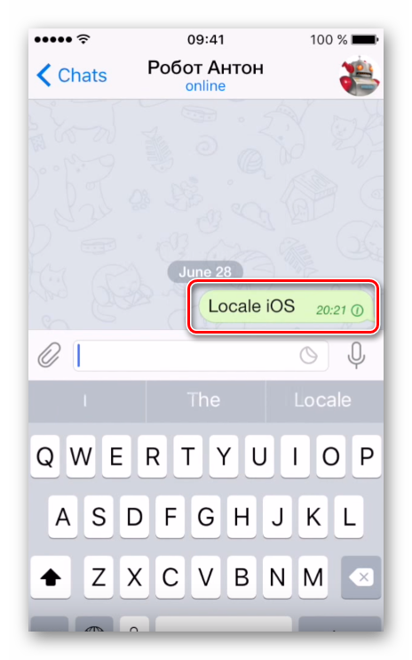 Отправка боту сообщения Locale iOS для руссификации Telegram в Айфоне