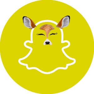 Как-в-Snapchat-добавить-рожицы