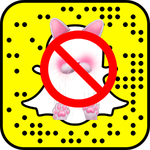 Почему-в-Snapchat-нет-мордочек